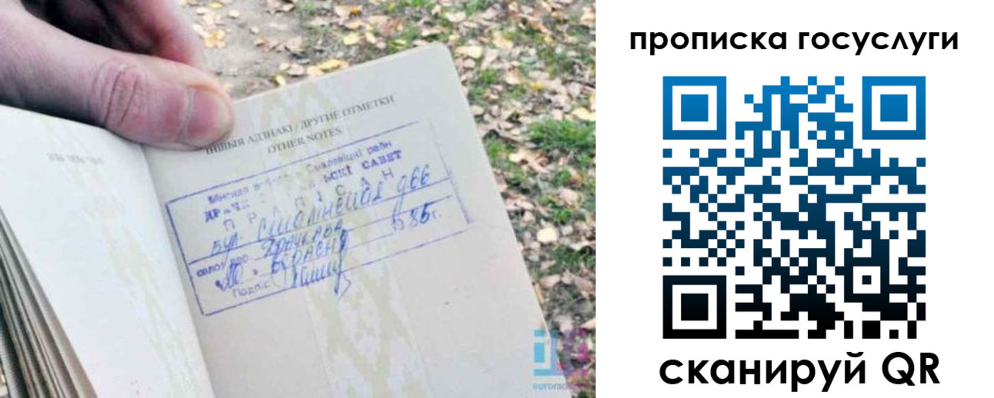 временная регистрация собственник в Архангельской области
